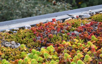the cost of Defynnog green roof installation